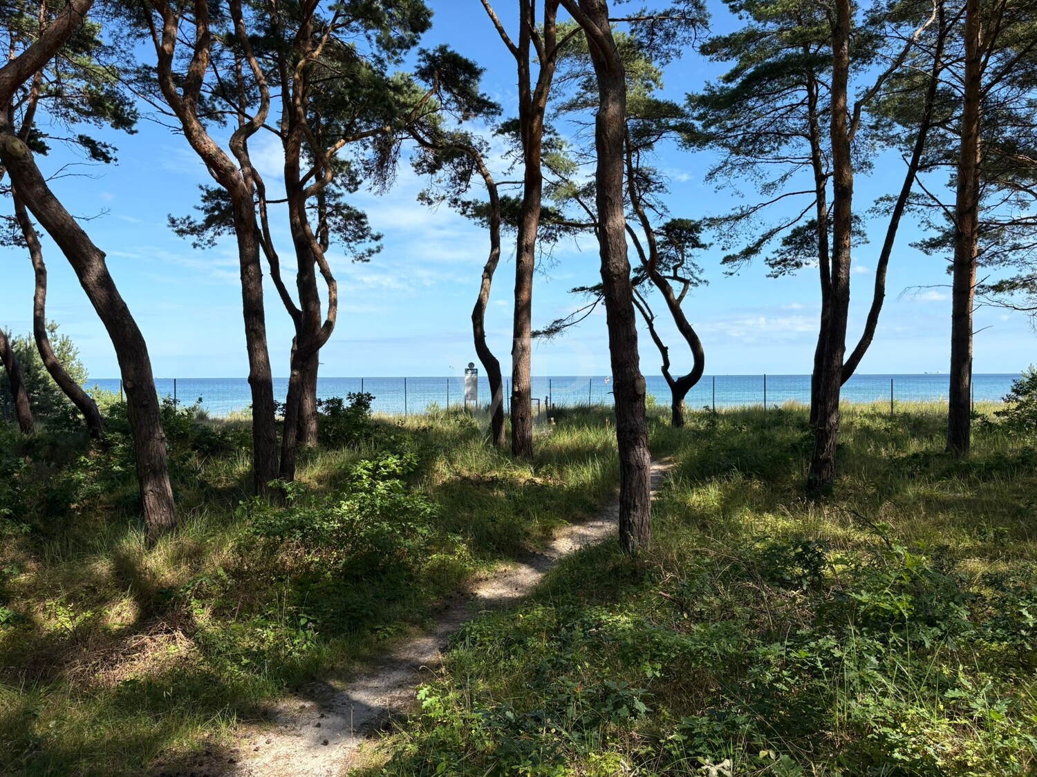 **Moderne Eigentumswohnung mit großem Balkon, Meerblick und Komfortausstattung in Haus 4 Natura – Südstrand 206**