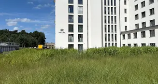 von_poll_real_estate_property_VB231_image_2