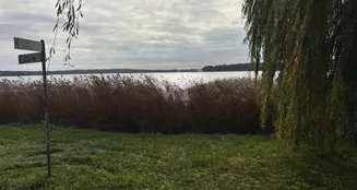 von_poll_real_estate_property_VO431_image_9