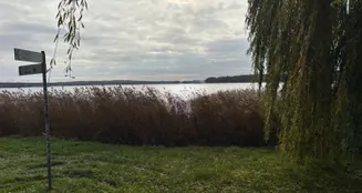 von_poll_real_estate_property_VO431_image_9