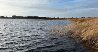 von_poll_real_estate_property_VO431_image_0