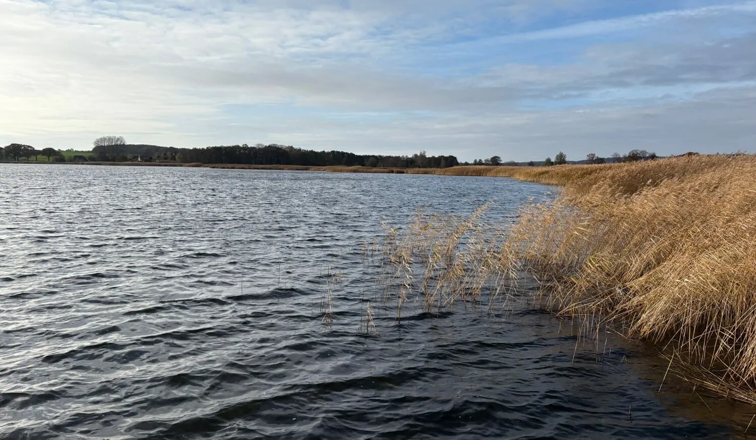 Sonnenverwöhntes Wassergrundstück am Selliner See mit Bootszugang
