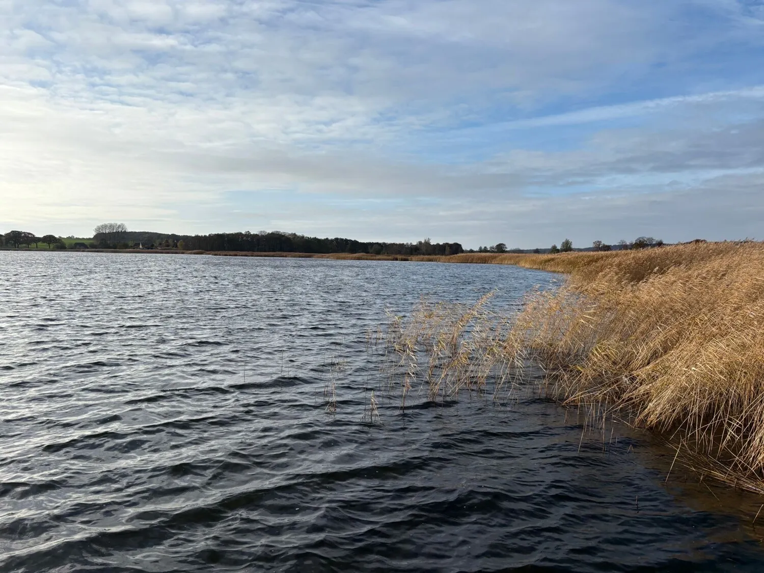 Propriété riveraine ensoleillée sur le lac Sellin avec accès par bateau