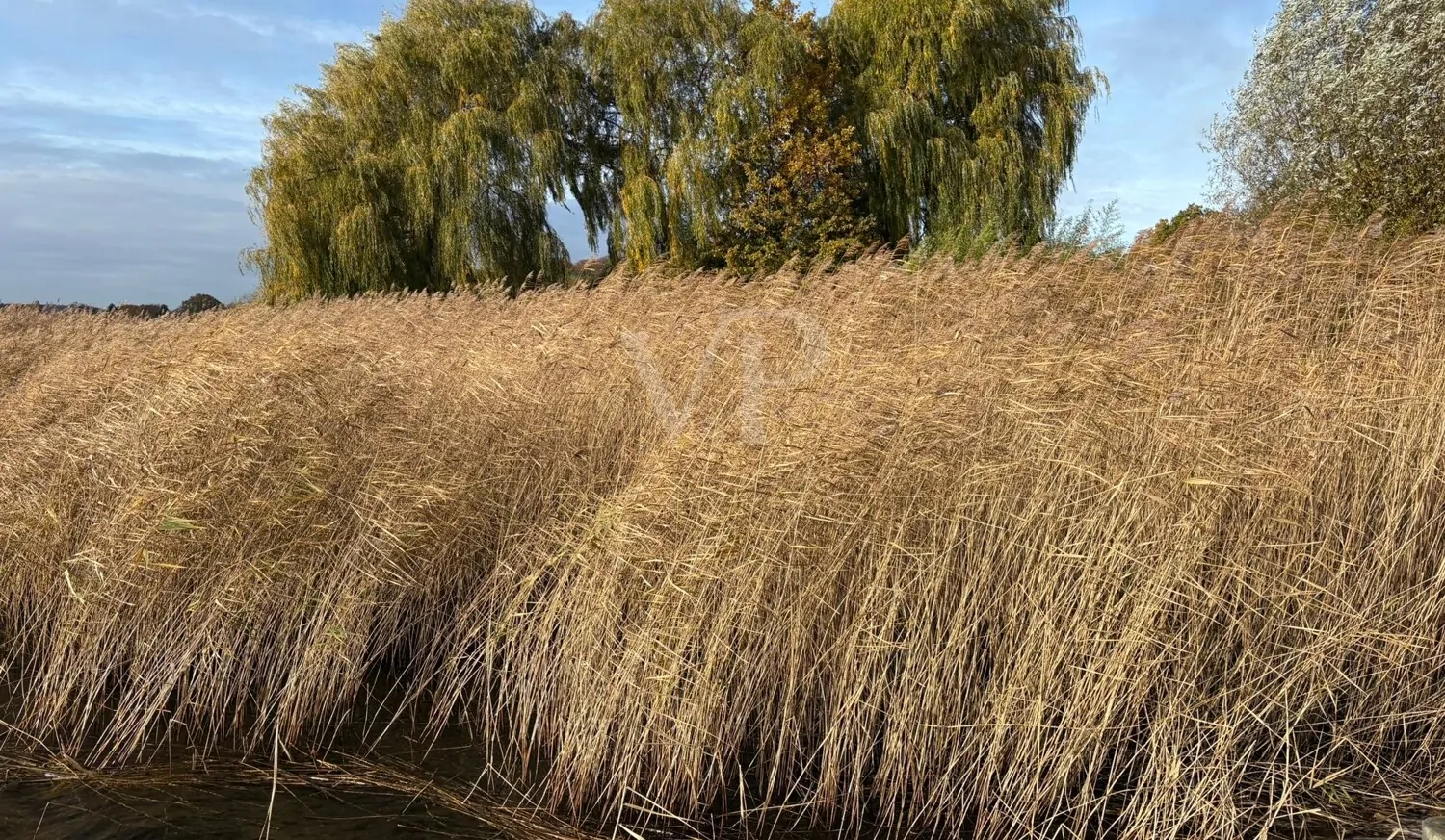 Sonnenverwöhntes Wassergrundstück am Selliner See mit Bootszugang