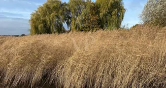 von_poll_real_estate_property_VO431_image_12