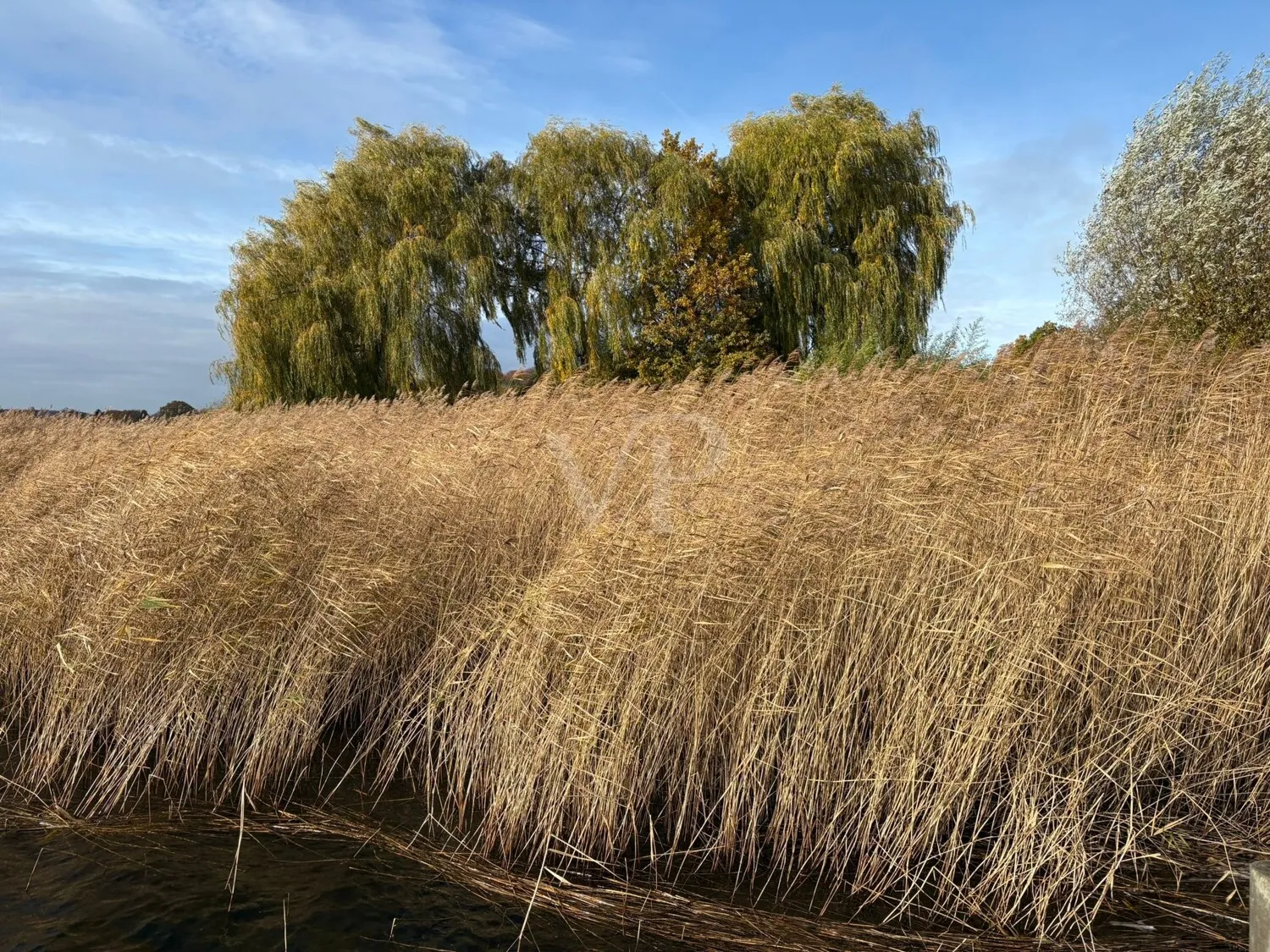 Propriété riveraine ensoleillée sur le lac Sellin avec accès par bateau