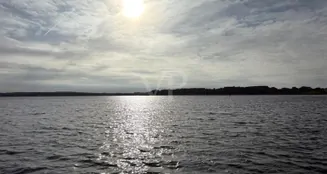 von_poll_real_estate_property_VO431_image_10