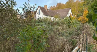 von_poll_real_estate_property_VO431_image_11