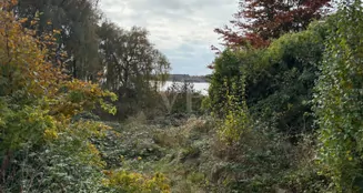 von_poll_real_estate_property_VO431_image_8