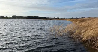 von_poll_real_estate_property_VO431_image_1