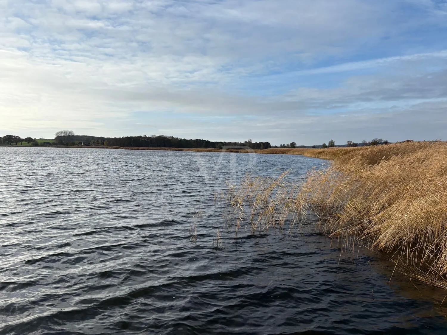 Propriété riveraine ensoleillée sur le lac Sellin avec accès par bateau