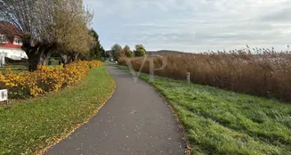 von_poll_real_estate_property_VO431_image_13