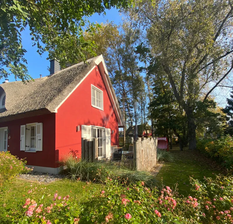 Strandnahes, reetgedecktes Refugium am Dünenwald:   1 Doppelhaus und 1 Ferienhaus in Bestlage