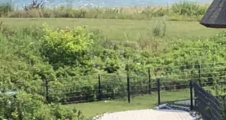 von_poll_real_estate_property_KS312_image_7