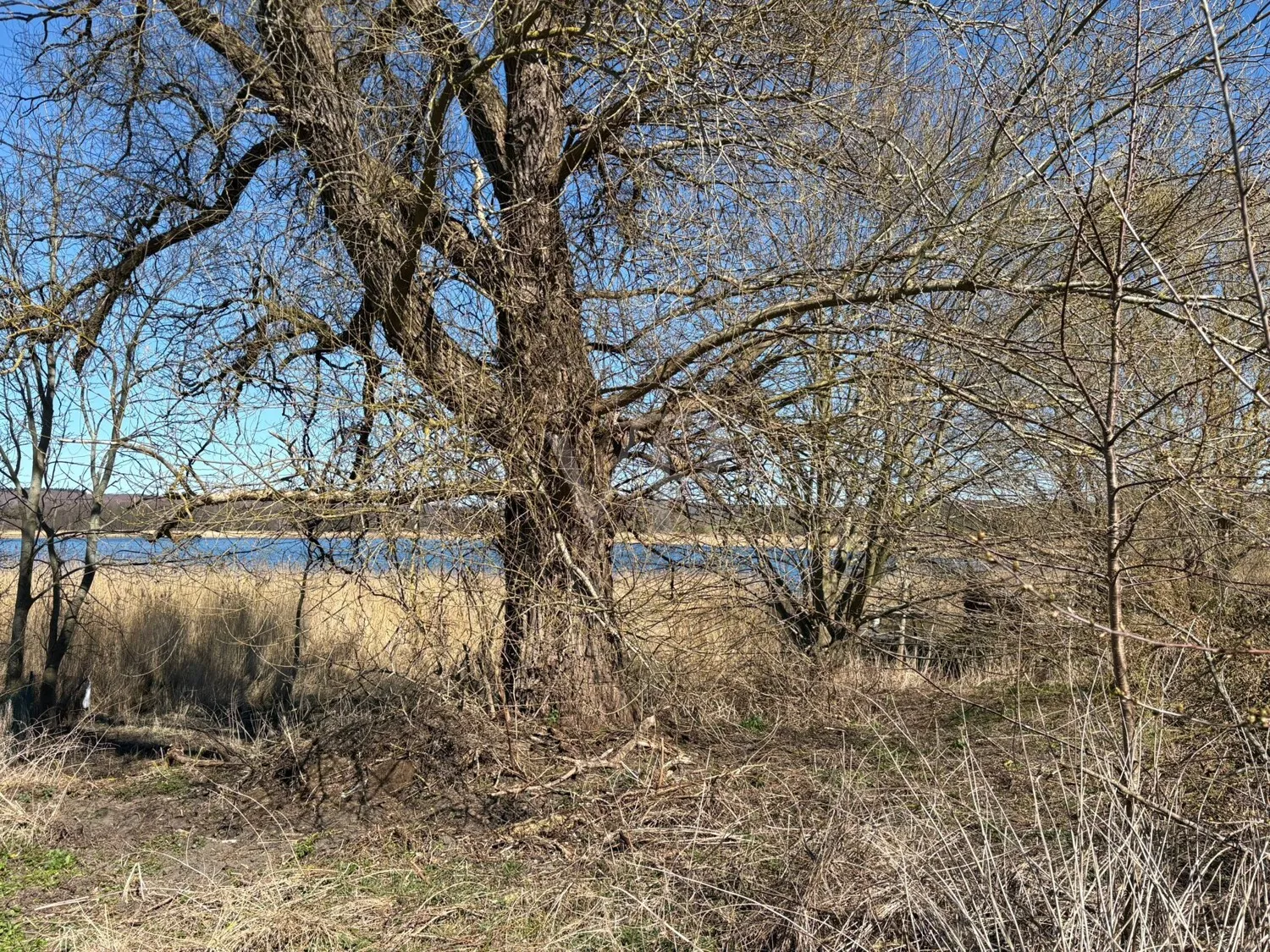Vielfalt erleben: Großzügige Grundstücke mit Seeblick, Natur und historischem Charme