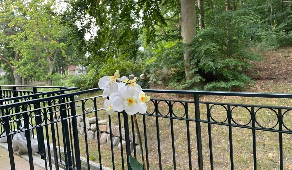 Ostseebad Baabe - Komfortable Wohnung in der Residenz nahe Strand