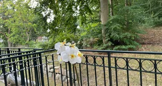 von_poll_real_estate_property_VN502_image_12