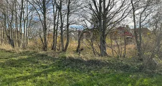 von_poll_real_estate_property_ZC900_image_23