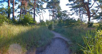 von_poll_real_estate_property_LS038_image_20