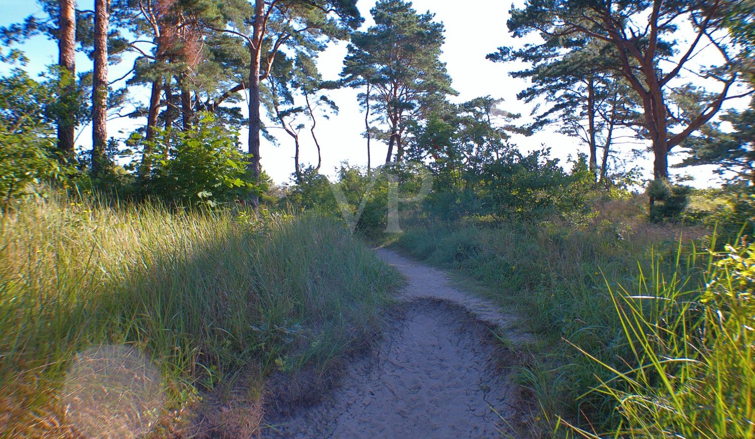 Strandzugang