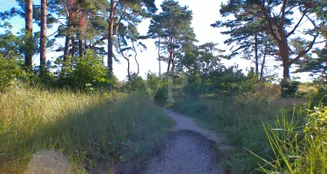 von_poll_real_estate_property_LS038_image_19