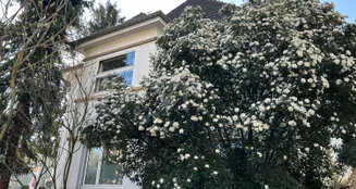 von_poll_real_estate_property_25018003_3_image_22