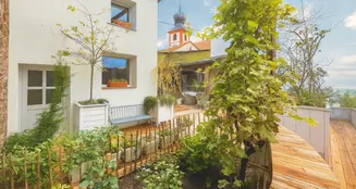 von_poll_real_estate_property_25018033_image_8