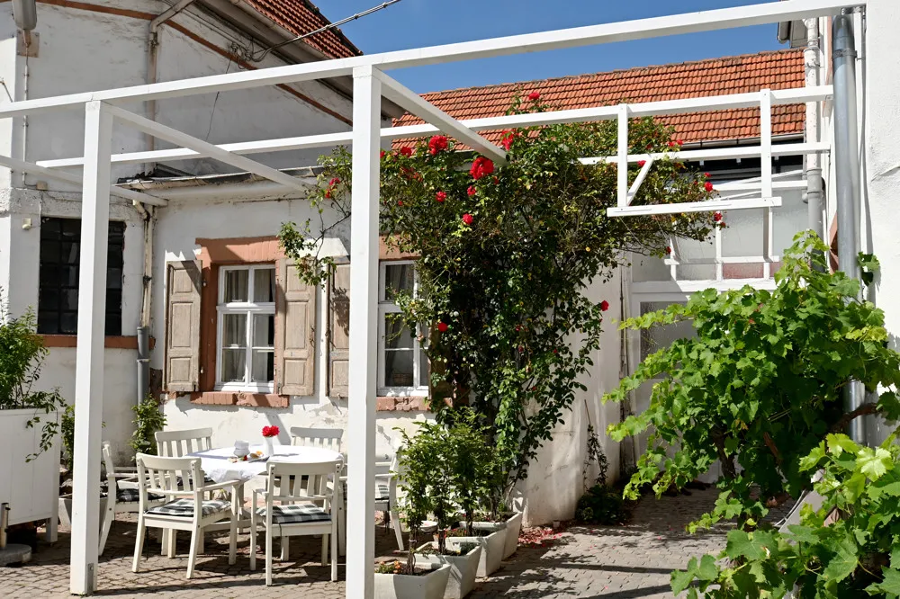 Renovated Art Nouveau villa with various usage options!