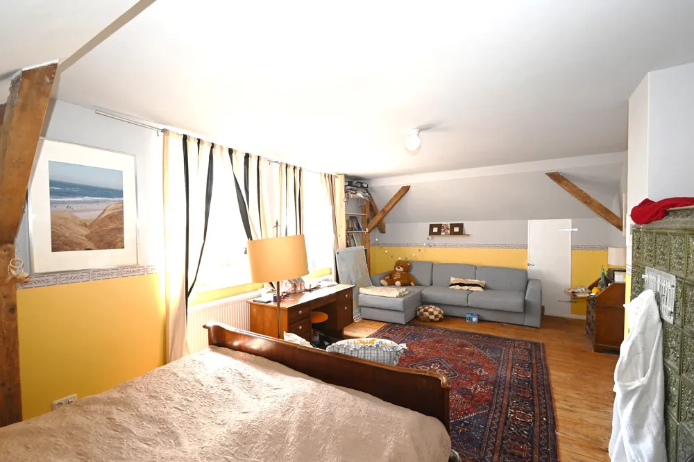 Renovated Art Nouveau villa with various usage options!