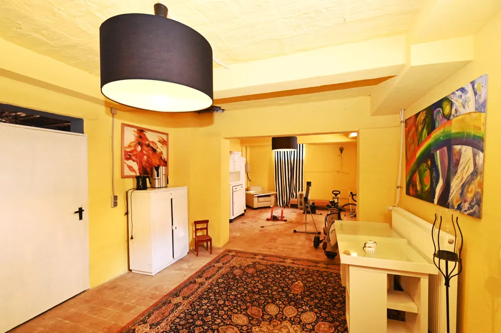 Renovated Art Nouveau villa with various usage options!