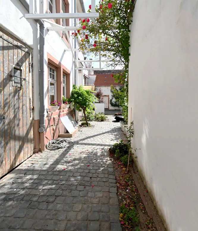 Sanierte Jugendstilvilla mit unterschiedlichen Nutzungsmöglichkeiten!