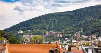 von_poll_real_estate_property_23018027_image_18