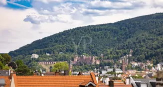 von_poll_real_estate_property_23018027_image_18