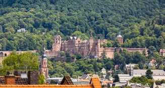 von_poll_real_estate_property_23018027_image_26