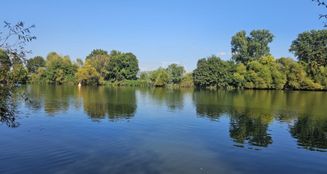 von_poll_real_estate_property_24018037_image_11