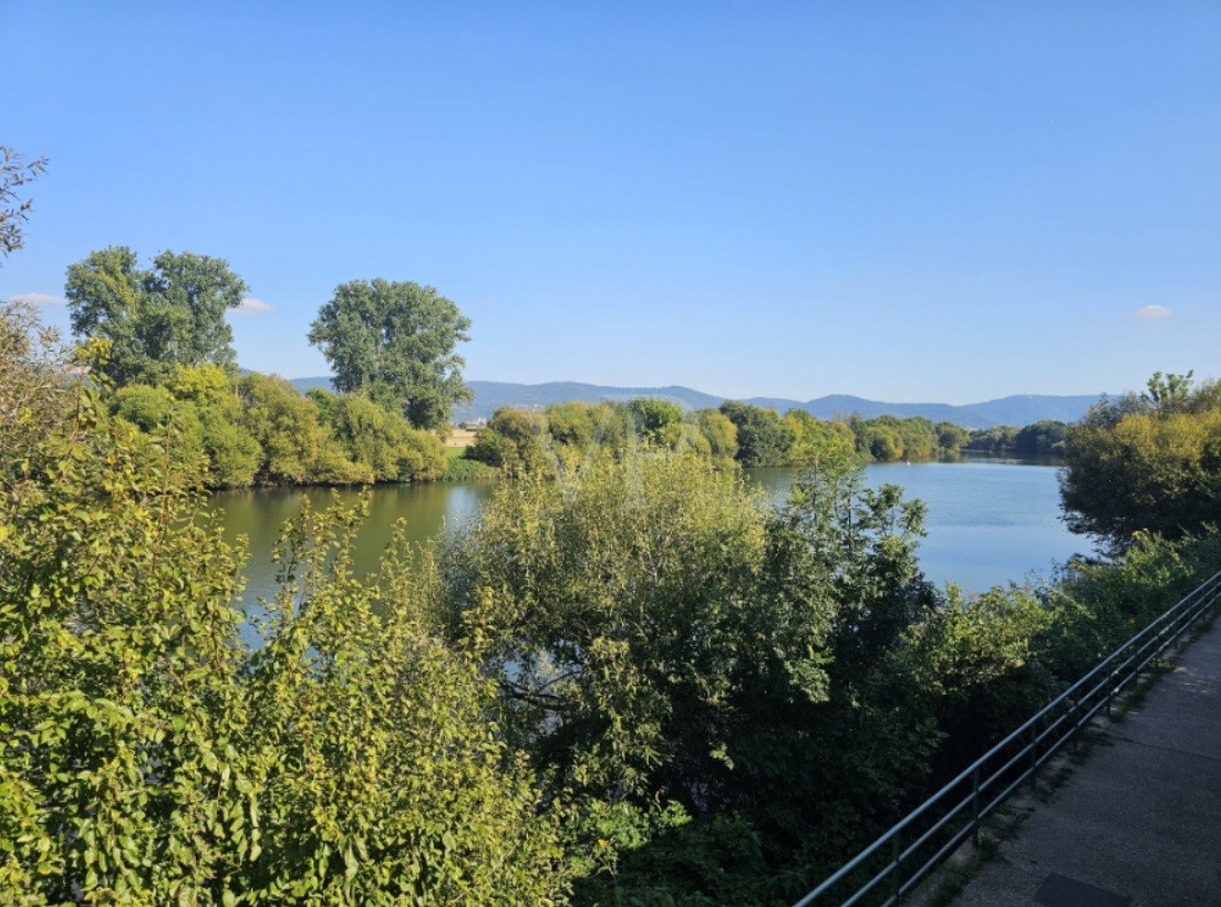 Neckarblick