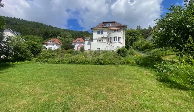 Hausansicht Garten schoen