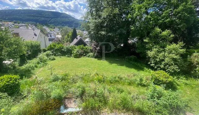 Blick von Terrasse in den Garten