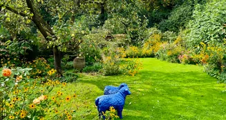 von_poll_real_estate_property_25010007_image_8