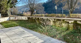 von_poll_real_estate_property_25018005_image_13