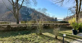 von_poll_real_estate_property_25018005_image_12