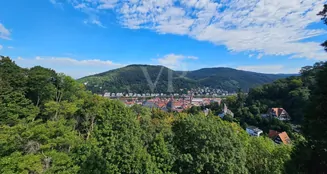 von_poll_real_estate_property_25018030_image_11