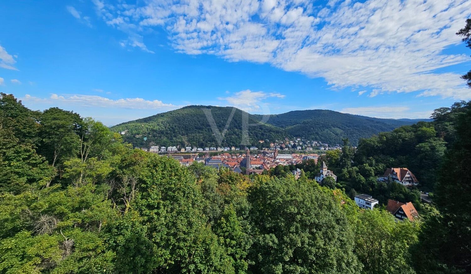 Ausblick