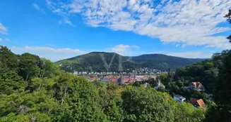 von_poll_real_estate_property_25018030_image_11