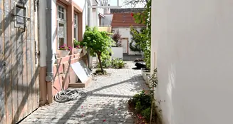 von_poll_real_estate_property_25154040_image_51