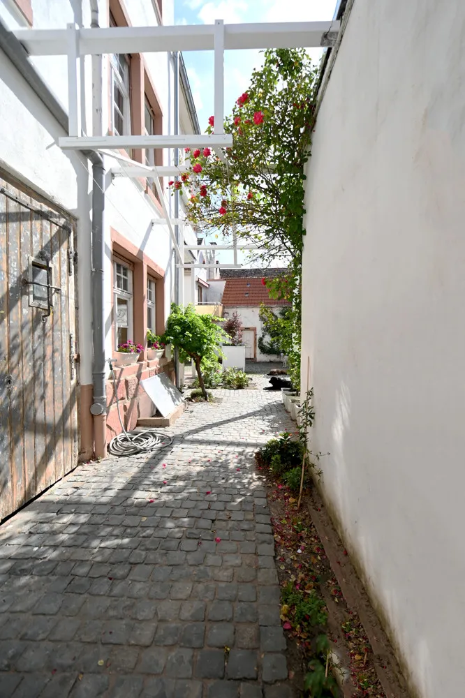 Renovated Art Nouveau villa with various usage options!