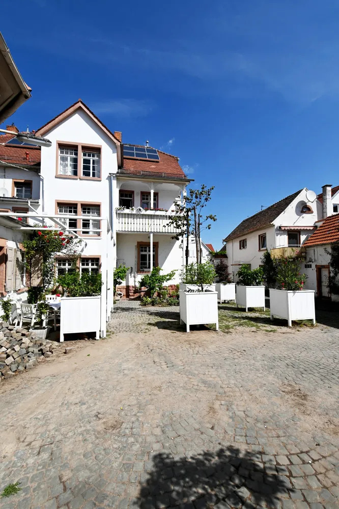 Renovated Art Nouveau villa with various usage options!