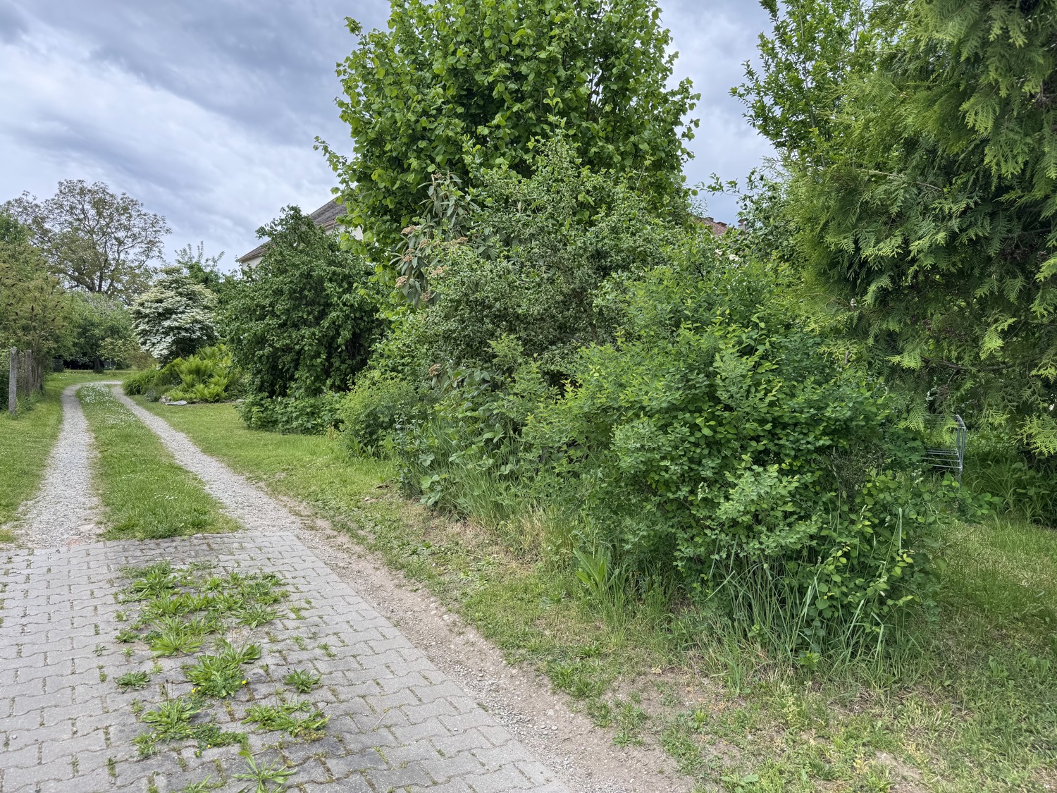 Zweifamilienhaus mit Potenzial - mögliches Baugrundstück