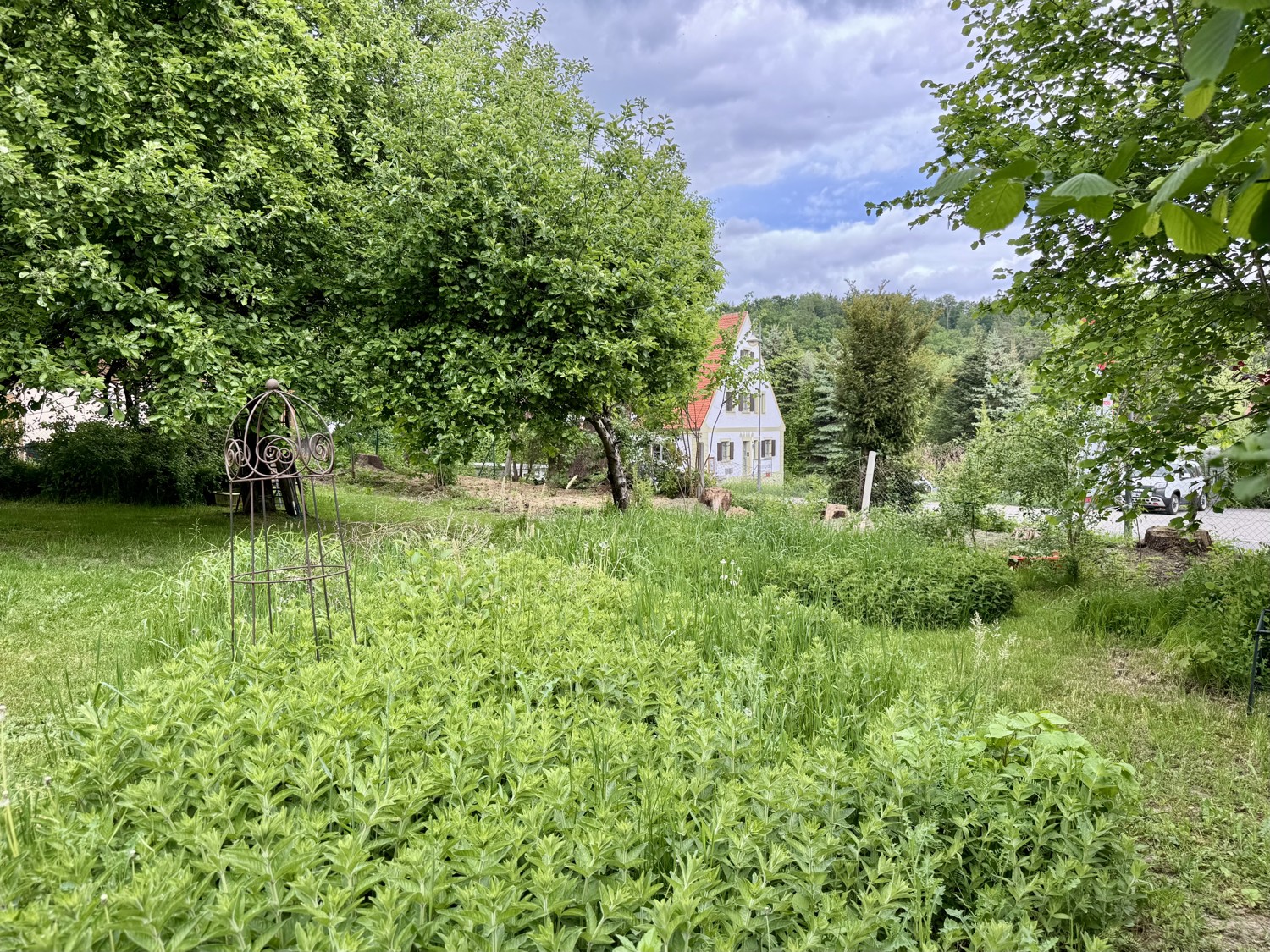 Zweifamilienhaus mit Potenzial - mögliches Baugrundstück