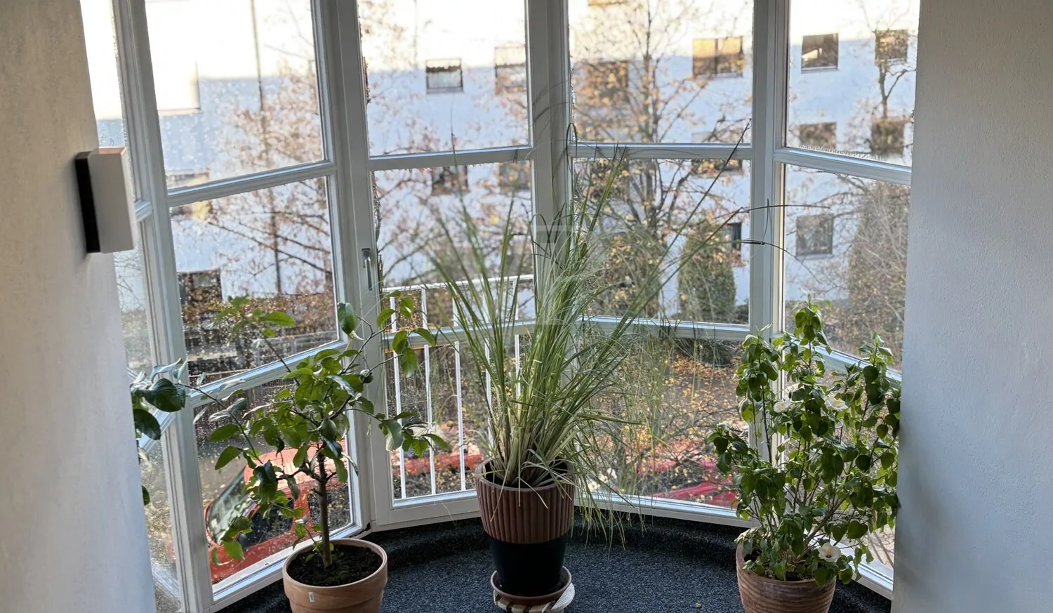 Lichtdurchflutet mit großzügiger Dachterrasse im Univiertel